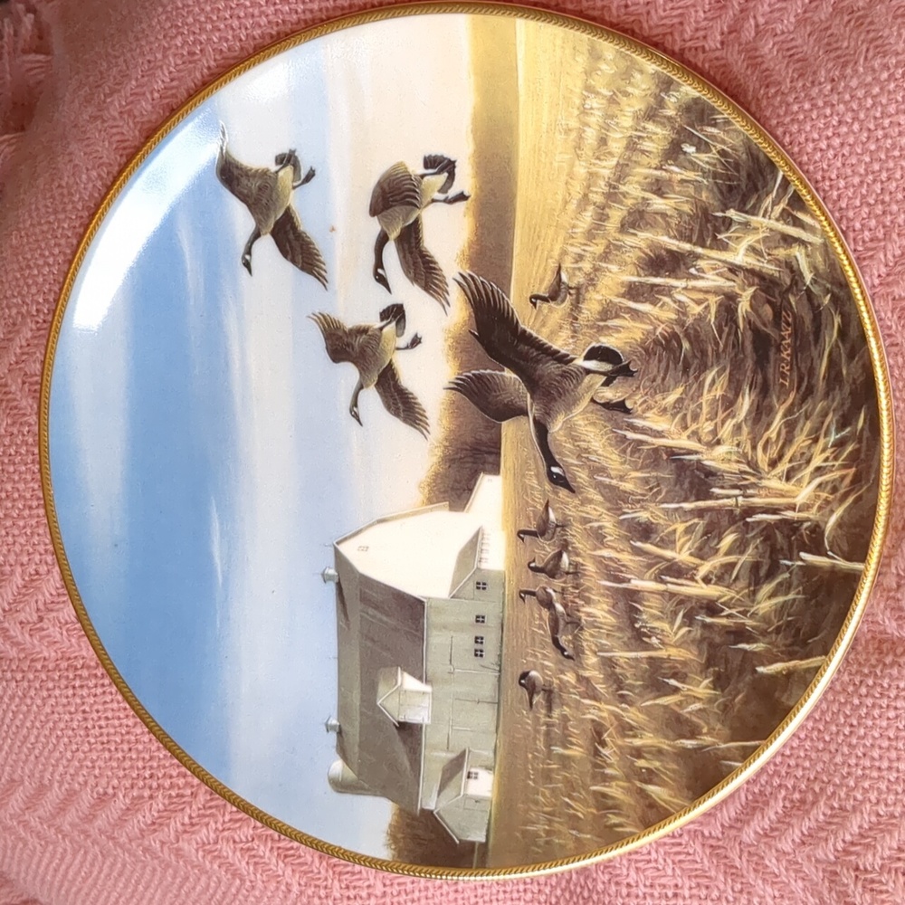 Lynn Kaatz, Plate, Canada Geese in Autumn Field